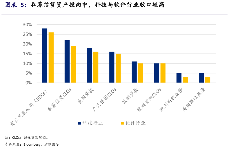 如何看待私募信贷资产投向中，科技与软件行业敞口较高