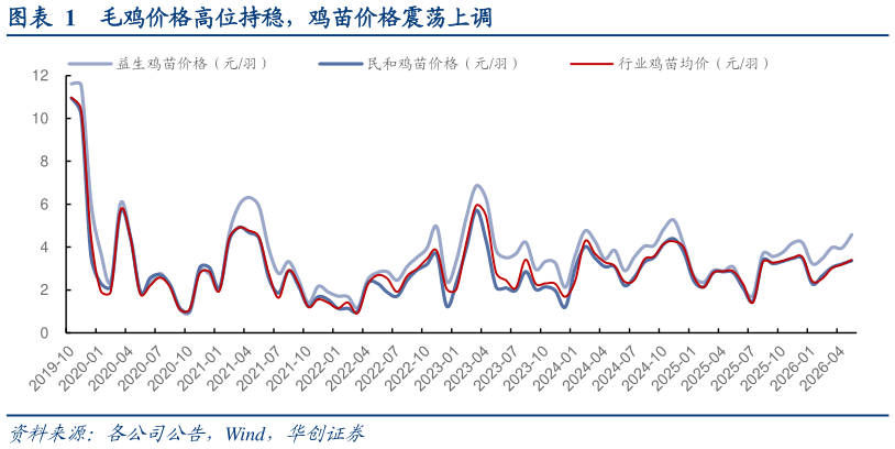 如何了解毛鸡价格高位持稳，鸡苗价格震荡上调