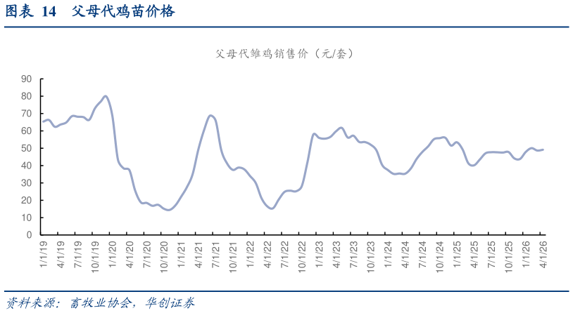 谁知道父母代鸡苗价格