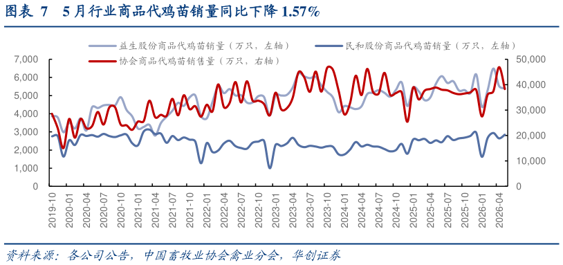 如何了解5 月行业商品代鸡苗销量同比下降 1.57%