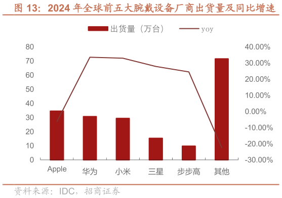 怎样理解2024 年全球前五大腕戴设备厂商出货量及同比增速