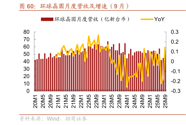 谁知道环球晶圆月度营收及增速（9 月）