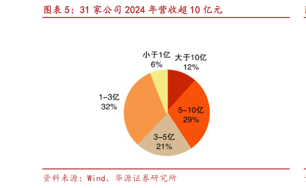 如何解释31 家公司 2024 年营收超 10 亿元