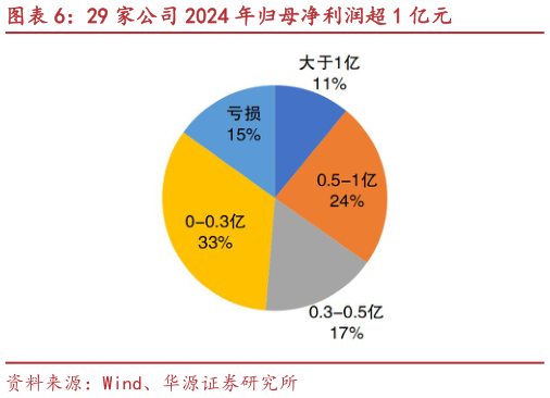 我想了解一下29 家公司 2024 年归母净利润超 1 亿元