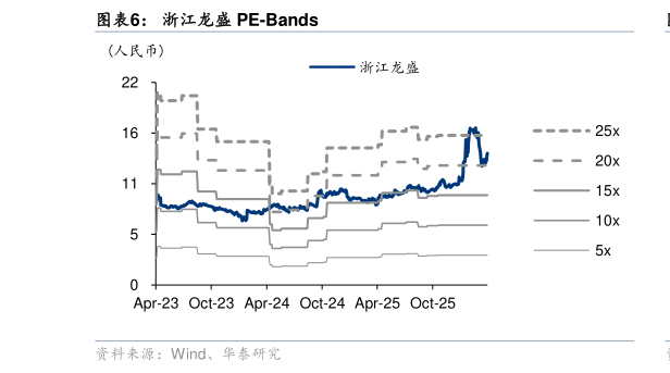 谁能回答浙江龙盛 PE-Bands