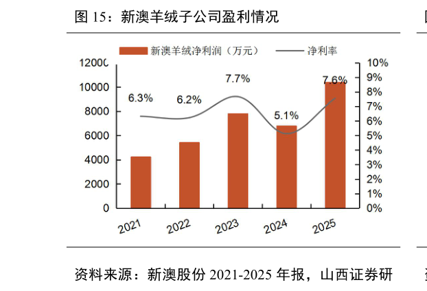 咨询大家新澳羊绒子公司盈利情况