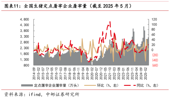 请问一下全国生猪定点屠宰企业屠宰量（截至 2025 年 5 月）?