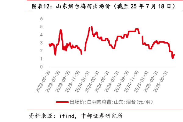 一起讨论下山东烟台鸡苗出场价（截至 25 年 7 月 18 日）  山东烟台毛鸡收购价（截至 25 年 7 月 18 日）?