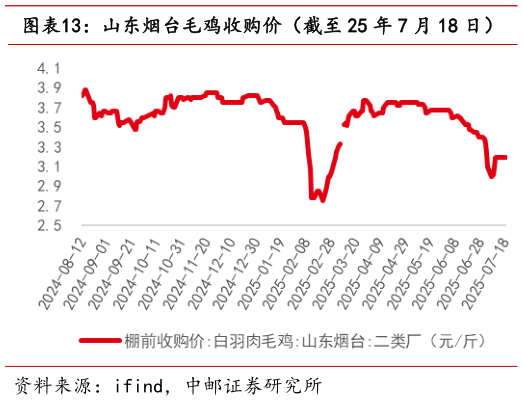 如何看待山东烟台毛鸡收购价（截至 25 年 7 月 18 日）?