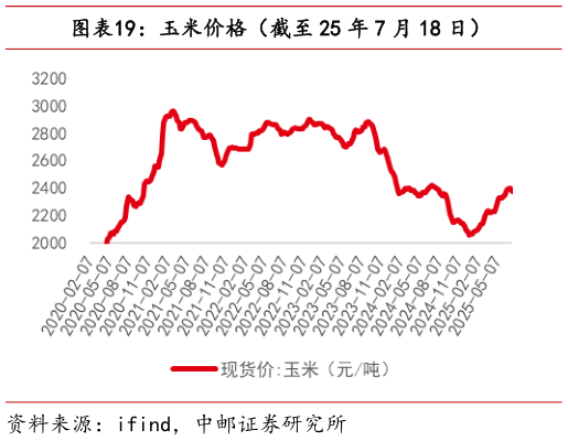 如何了解玉米价格（截至 25 年 7 月 18 日）?