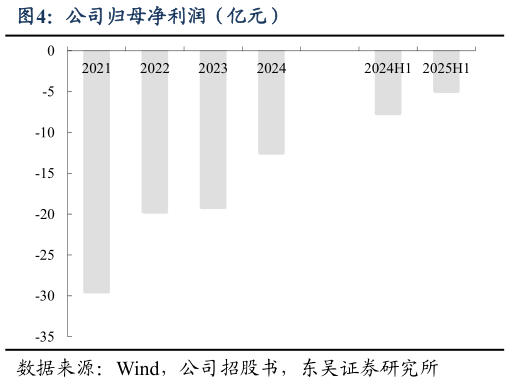 怎样理解公司归母净利润（亿元）?