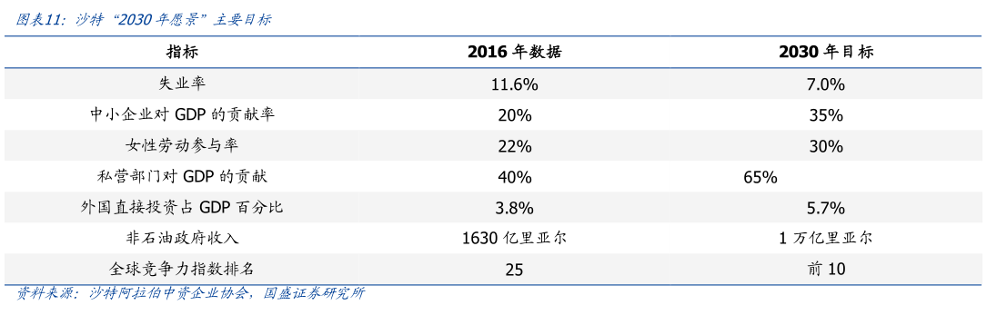 谁知道沙特  2030年愿景”主要目标
