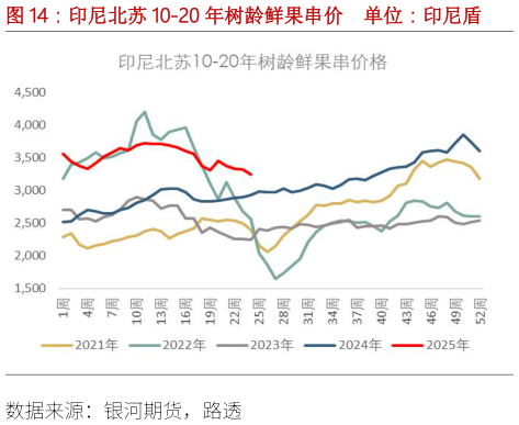 谁能回答印尼北苏 10-20 年树龄鲜果串价 单位：印尼盾
