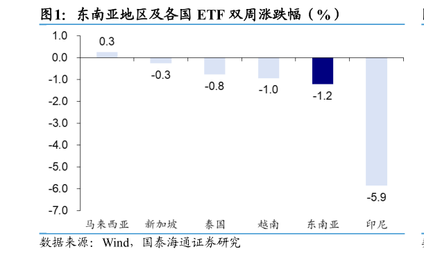 谁能回答东南亚地区及各国 ETF 双周涨跌幅（%）