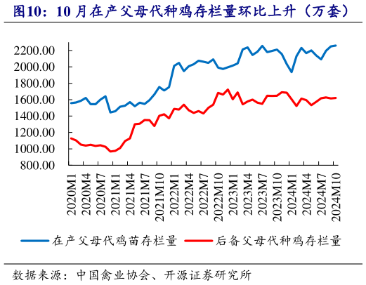 如何解释10 月在产父母代种鸡存栏量环比上升（万套）?