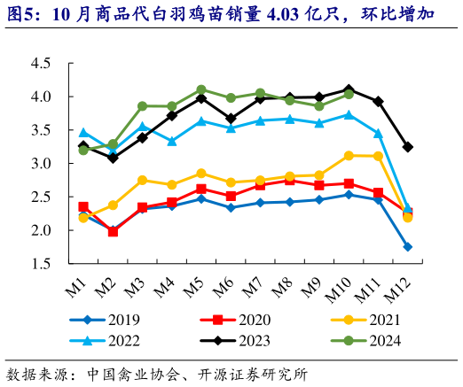 如何看待10 月商品代白羽鸡苗销量 4.03 亿只，环比增加?