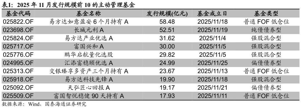 如何看待2025 年 11 月发行规模前 10 的主动管理基金