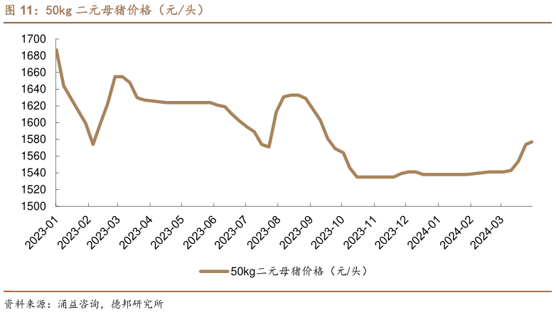 我想了解一下50kg 二元母猪价格（元头）?