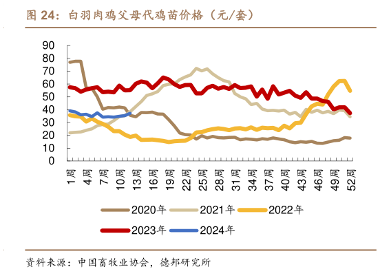 如何才能白羽肉鸡父母代鸡苗价格(元套)?