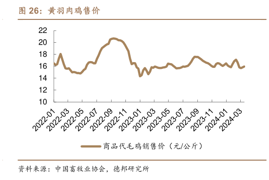 如何了解黄羽肉鸡售价?