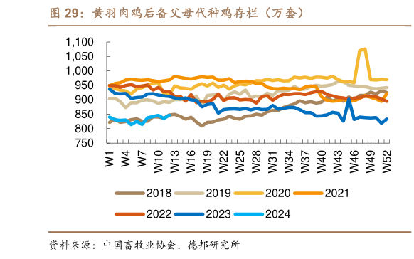 怎样理解黄羽肉鸡后备父母代种鸡存栏(万套)?