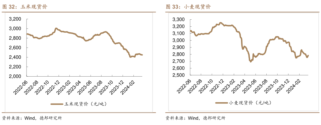 如何了解玉米现货价小麦现货价?