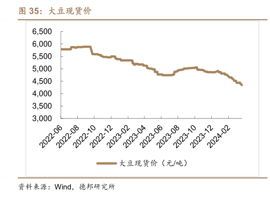 如何看待大豆现货价?