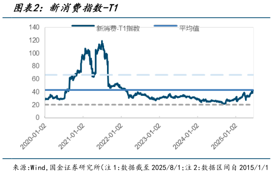 各位网友请教一下新消费指数-T1?