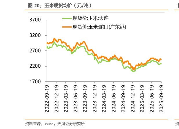 请问一下玉米现货均价（元吨）