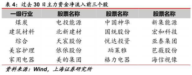 咨询大家过去 30 日主力资金净流入前三个股