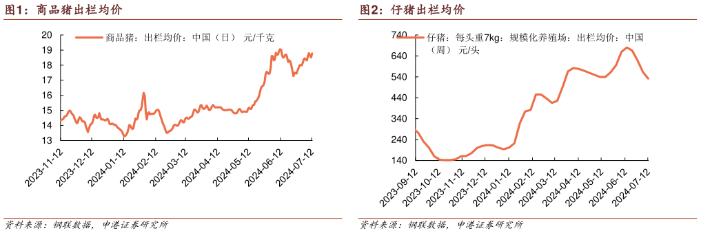 谁能回答商品猪出栏均价?