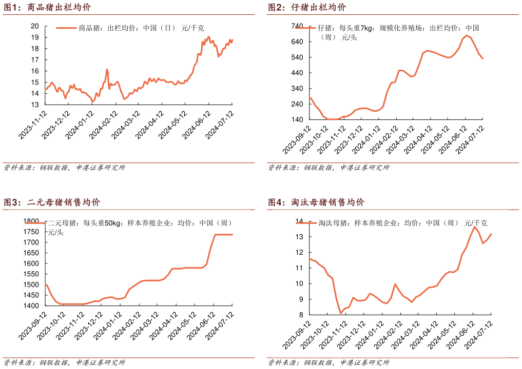 想关注一下仔猪出栏均价 淘汰母猪销售均价?