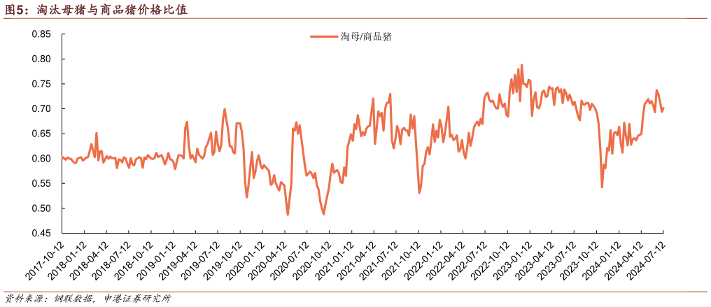 怎样理解淘汰母猪与商品猪价格比值?
