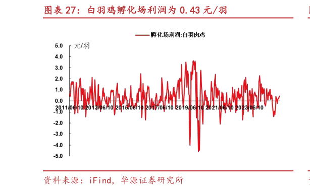 咨询大家白羽鸡孵化场利润为 0.43 元羽?