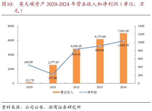 如何了解英大碳资产 2020-2024 年营业收入和净利润（单位：万