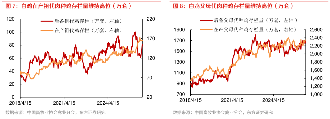 想关注一下白鸡在产祖代肉种鸡存栏量维持高位（万套） 白鸡价格回归低波动稳定（元公斤） 白鸡父母代肉种鸡存栏量维持高位（万套）