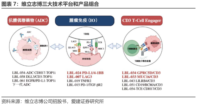 谁能回答维立志博三大技术平台和产品组合