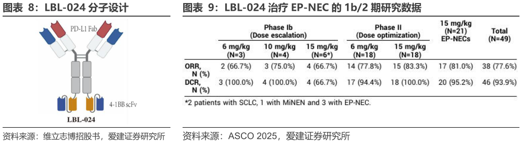 如何了解LBL-024 分子设计LBL-024 治疗 EP-NEC 的 1b2 期研究数据
