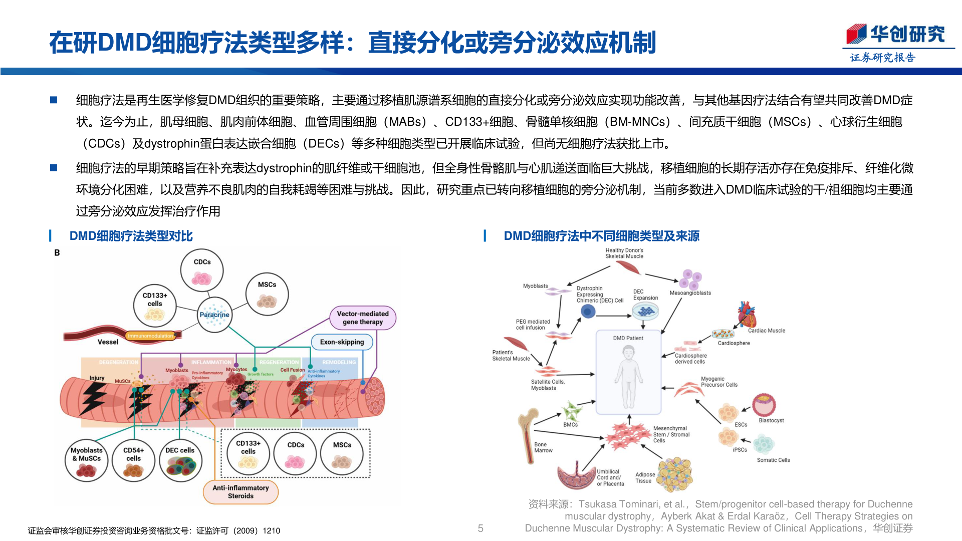 如何才能在研DMD细胞疗法类型多样：直接分化或旁分泌效应机制
