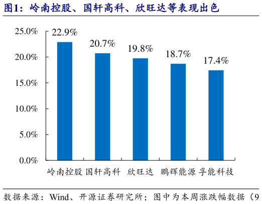 如何才能岭南控股、国轩高科、欣旺达等表现出色?