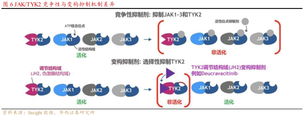 谁能回答JAKTYK2 竞争性与变构抑制机制差异