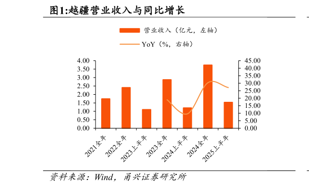 各位网友请教一下越疆营业收入与同比增长