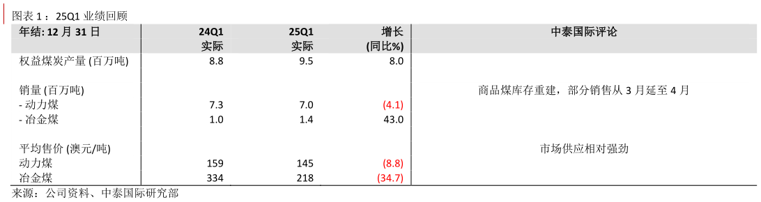 如何了解：25Q1 业绩回顾