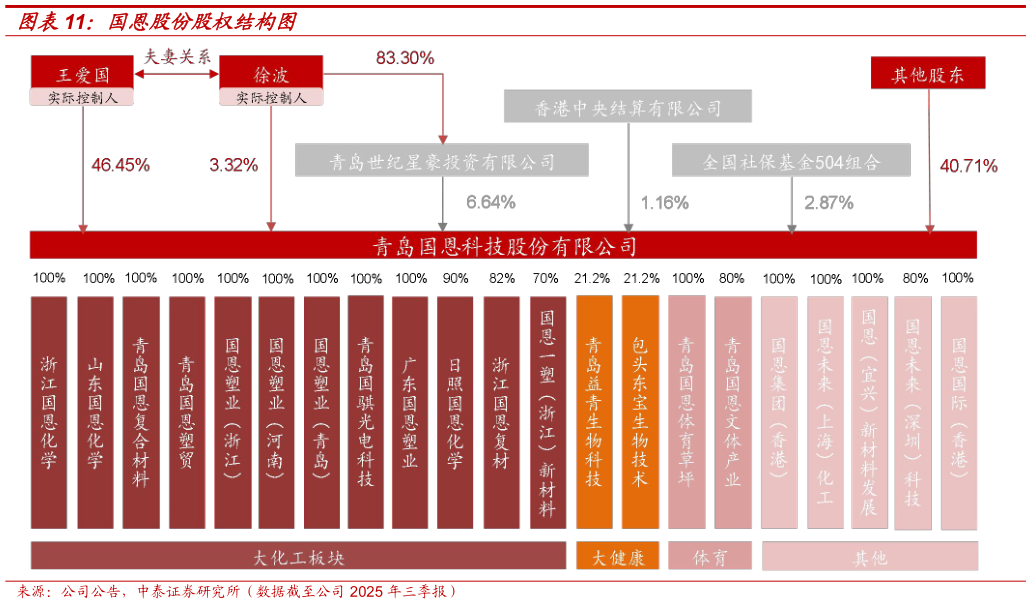 各位网友请教一下国恩股份股权结构图