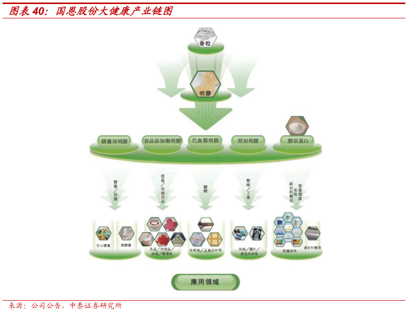 一起讨论下国恩股份大健康产业链图