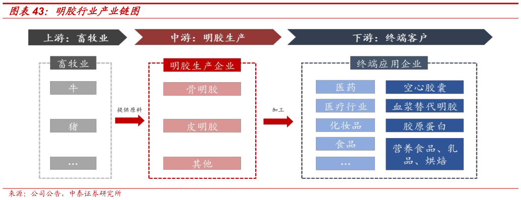 如何了解明胶行业产业链图