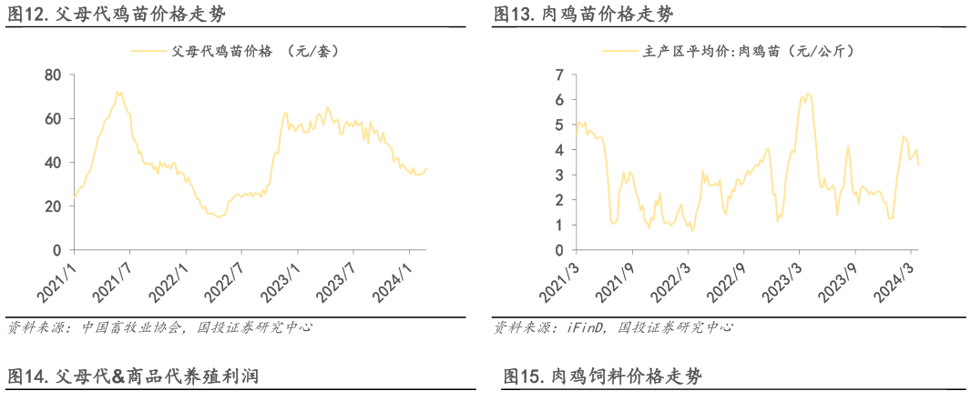 如何了解.父母代鸡苗价格走势.肉鸡苗价格走势?
