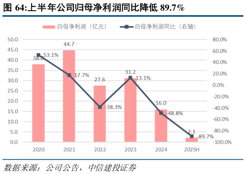 我想了解一下上半年公司归母净利润同比降低 89.7%?