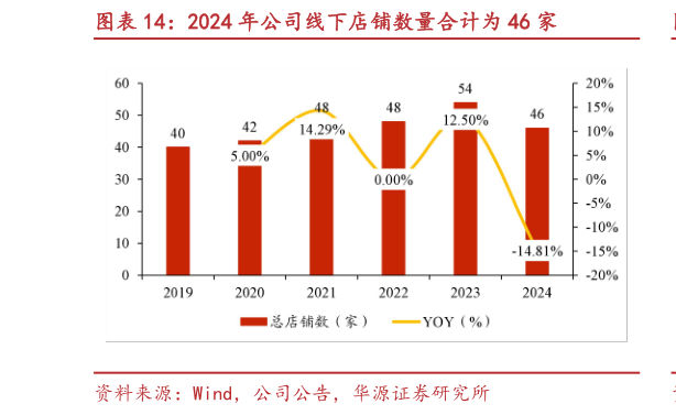 各位网友请教一下2024 年公司线下店铺数量合计为 46 家?