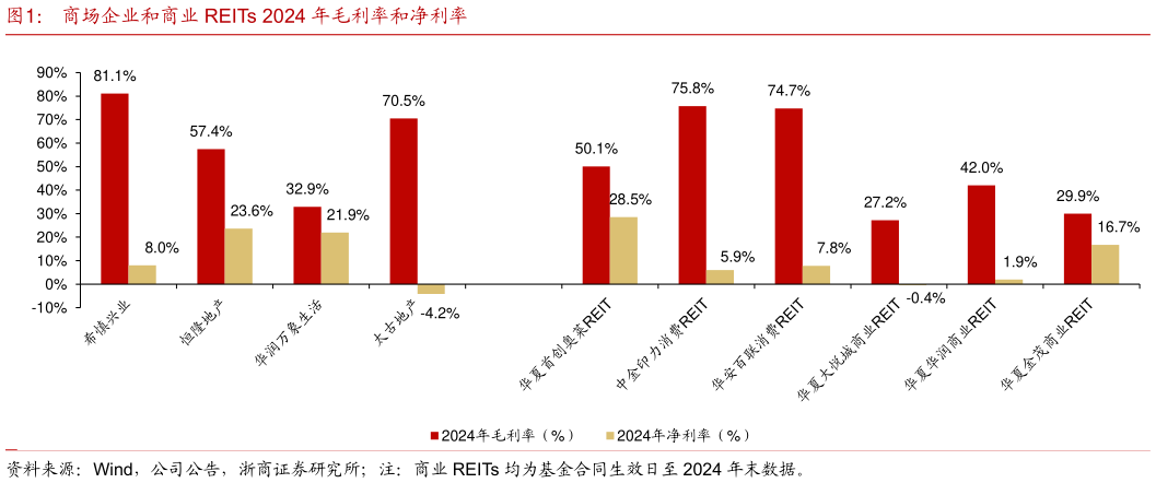 我想了解一下商场企业和商业 REITs 2024 年毛利率和净利率